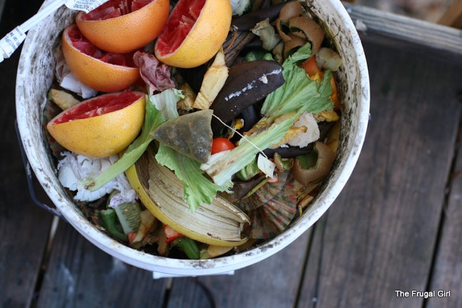 Guide for Winter Composting Create the Perfect ColdWeather Compost