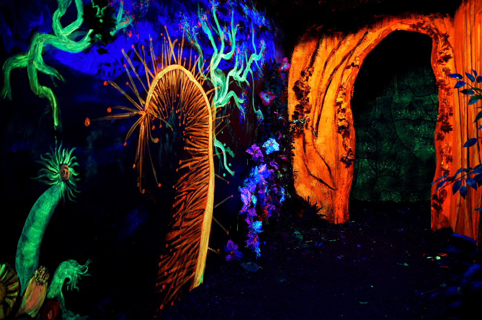 12 Things You Should Do This Fall in Lincoln, Nebraska The Dodge