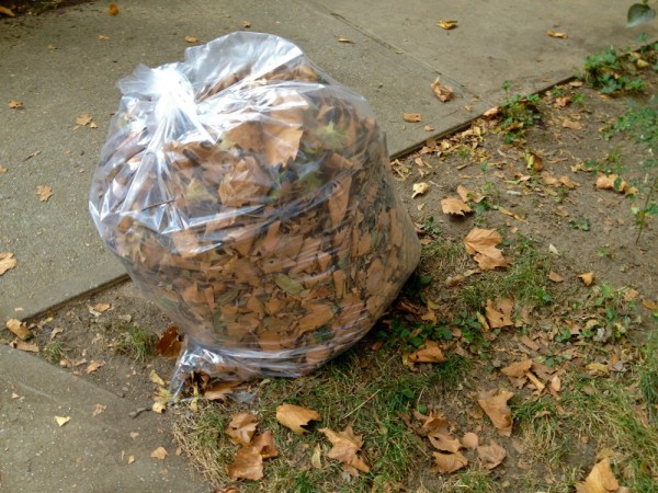 Winter Composting Bag of Leaves