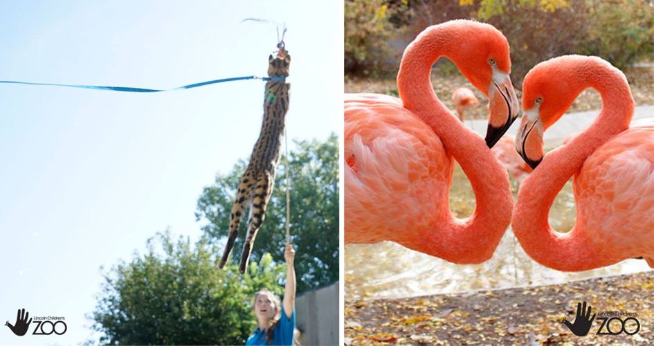 Lincoln Children's Zoo Memorial Day Lincoln