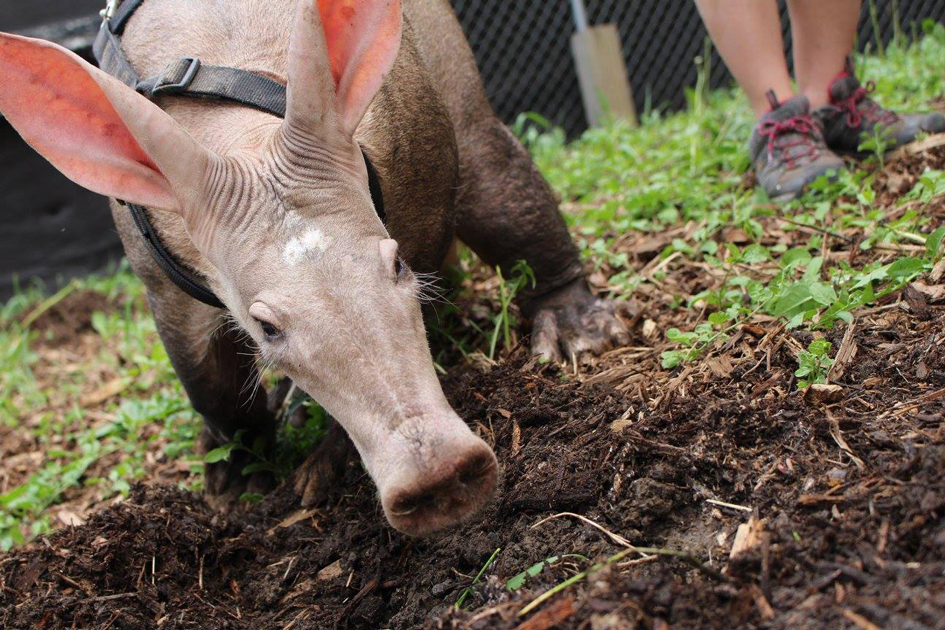Omaha's Henry Doorly Zoo & Aquarium Kids