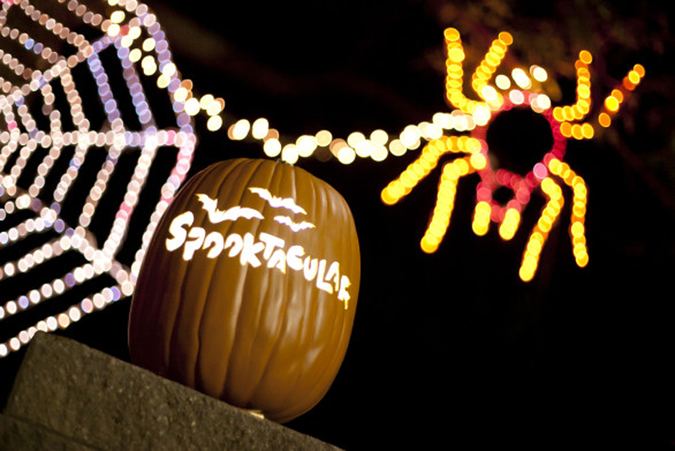 Spooktacular