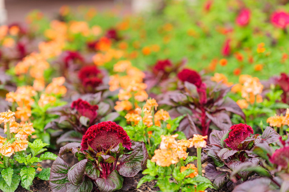 Omaha's Lauritzen Gardens