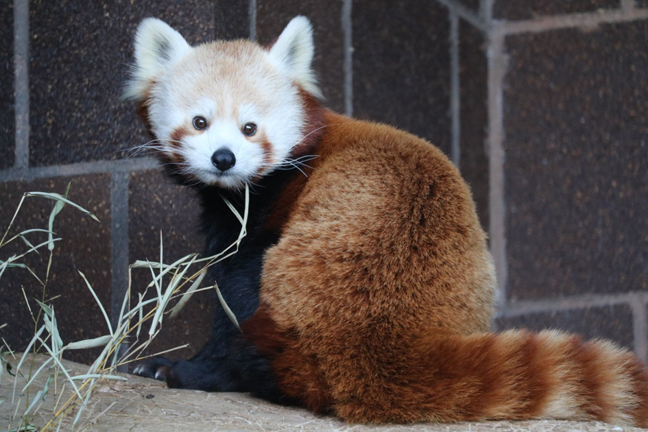 Henry Doorly Zoo