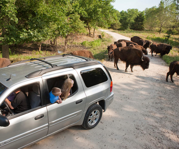 Lee G Simmons Wildlife Park