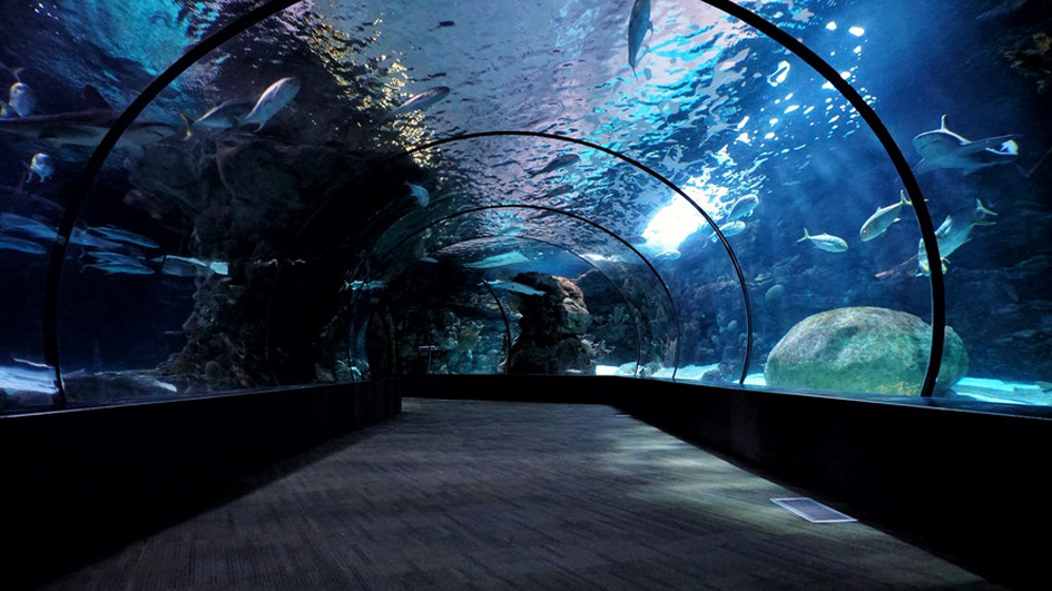 Henry Doorly Zoo and Aquarium