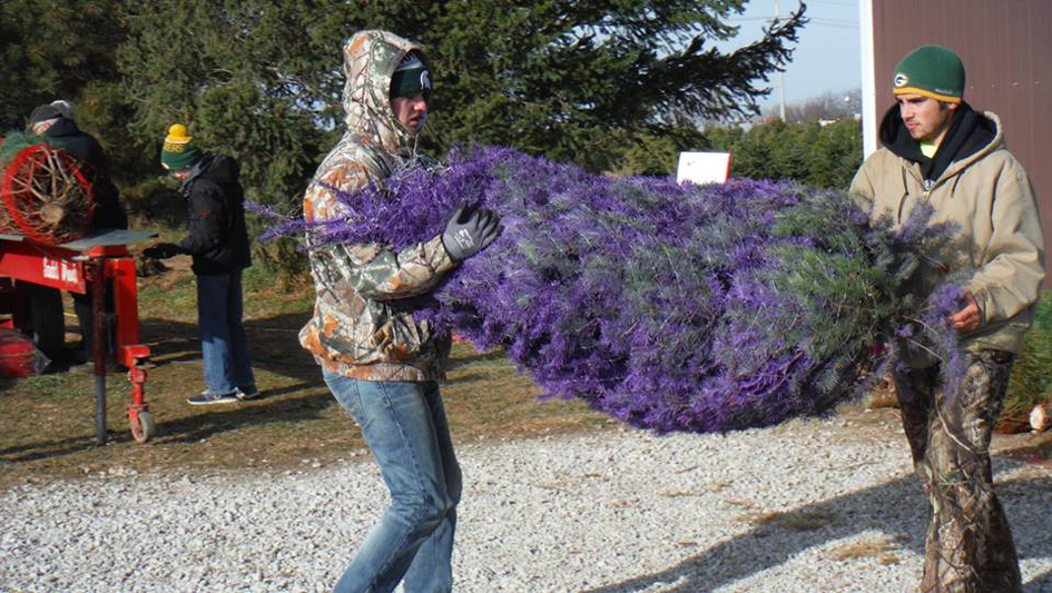 Where to Buy Your Christmas Tree in the Omaha Area, Mapped The Dodge