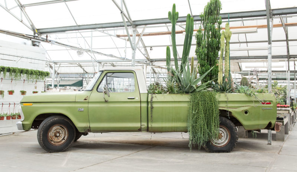 Omaha Garden Centers