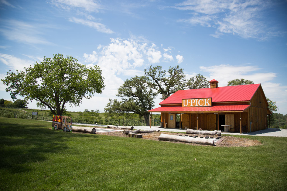 Omaha Fall Activities