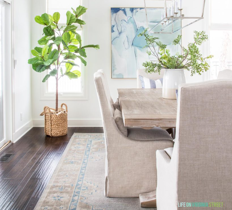 winter-dining-room-fig-tree-819x1024