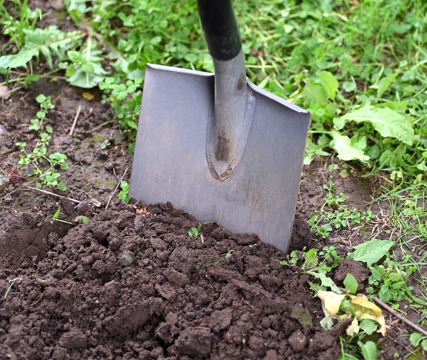 11 Steps to Prepare Your Garden for Spring