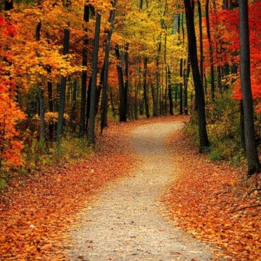 Fall Hiking Trails Near Omaha for Nature Lovers